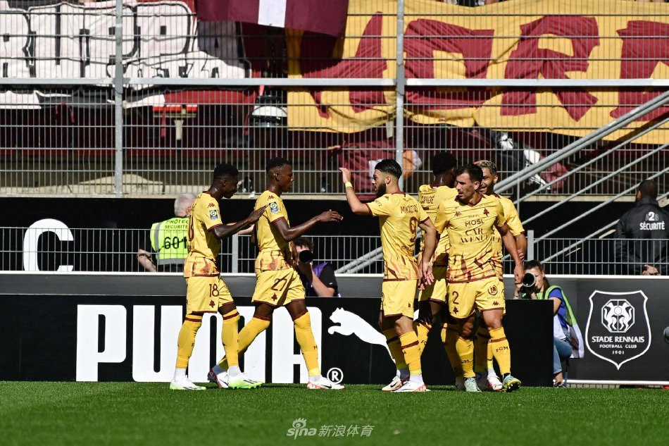 团队在评估 团队在评估